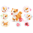 Kit 2 Gatinhos de Pelucia Laranja e Cinza com Som e Movimento